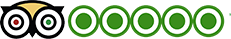 tripadvisor